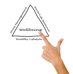 Sticker - Diagram of wellbeing