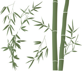 Wall Mural - green illustration with bamboo branches collection
