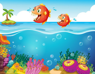 Wall Mural - Two scary piranhas at the sea