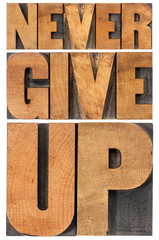 Wall Mural - never give up in wood type