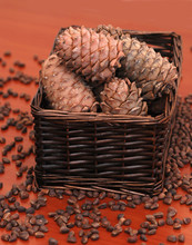 Pine Cones And Nuts In A Basket