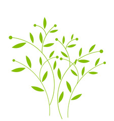 Wall Mural - Green plant