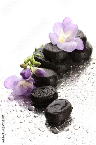 Fototapeta na wymiar Spa stones and purple flower, on wet background