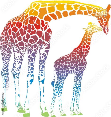 Nowoczesny obraz na płótnie vector rainbow giraffe mother with cub