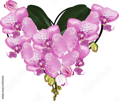 Fototapeta na wymiar heart shape bouquet from pink orchids on white