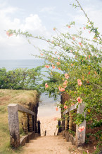Stairway Entry To Sandy Beach  Flowers Caribbean Sea Little Corn