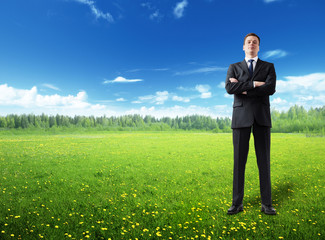 Wall Mural - businessman on spring field