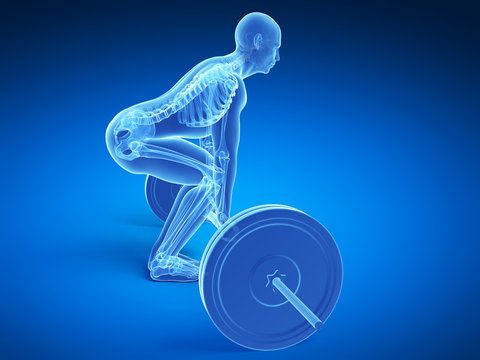 3d rendered medical illustration - correct lifting posture