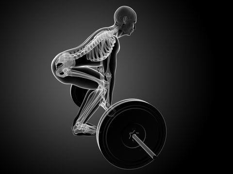 3d rendered medical illustration - correct lifting posture