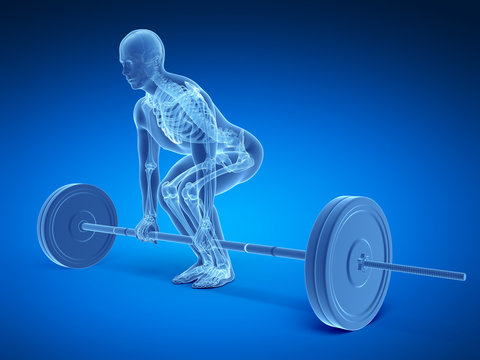 3d rendered medical illustration - correct lifting posture
