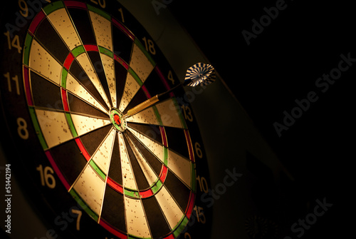 Foto-Plissee - darts arrows (von sergign)