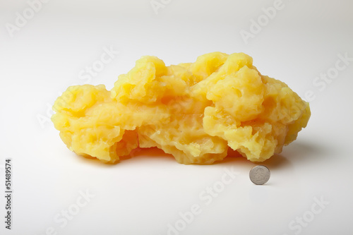 Cuadros en Lienzo Five pounds of fat shown with quarter coin for size comparison.