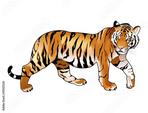 czerwony-tygrys