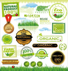 Wall Mural - Set Of organic labels