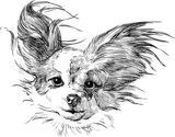 160_f_51510348_5nstnyrqotephx6a272txasv7j0dfnib