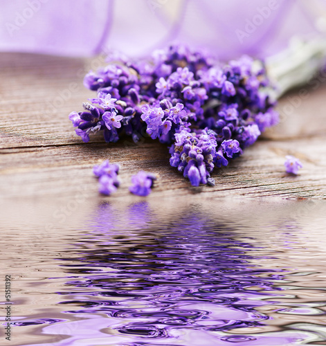 Foto-Kissen - Lavendelblüten mit Spiegelung (von Johanna Mühlbauer)