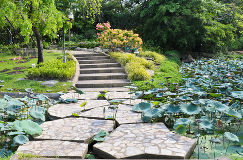 Nowoczesny obraz na płótnie Stone pathway surrounded by lotus ponds.