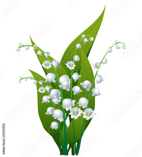 Naklejka dekoracyjna Lily of the valley