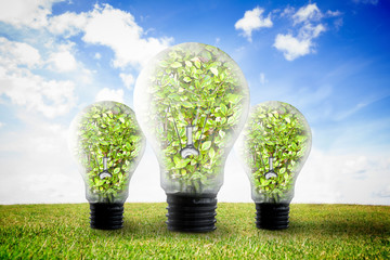 Poster - Three big light bulbs on the grass