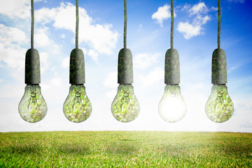 Poster - Light bulbs hanging in row