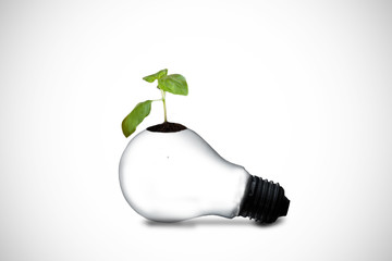 Poster - Plant on light bulb