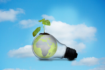 Poster - Light bulb with plant and earth