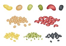 Set of Different Beans on White Background