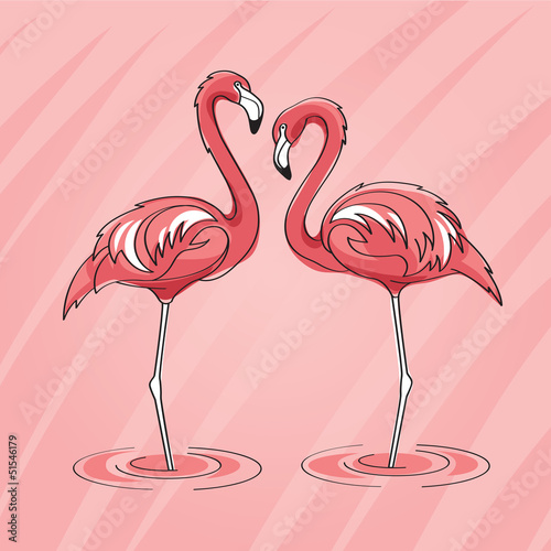 Fototapeta na wymiar Two pink flamingos in vector