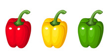 Set Of Three Bell Peppers. Vector Illustration.