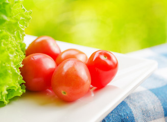 Canvas Print - tomatoes