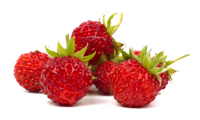 forest strawberry isolated on white