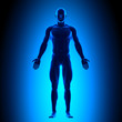 Anatomy Body - Front View - Blue concept