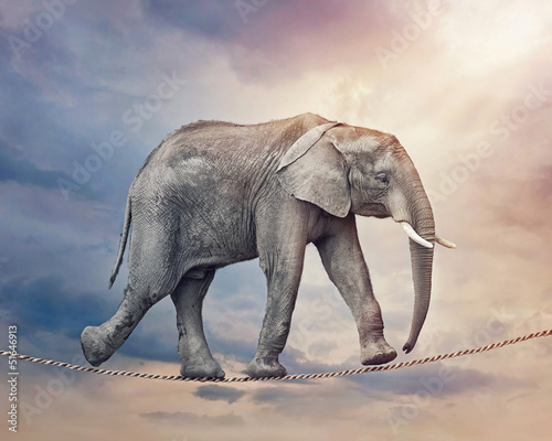 Fototapeta na wymiar Elephant on a tightrope