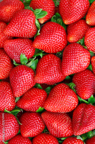Nowoczesny obraz na płótnie strawberries