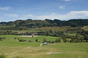 New Zealand rural scene #2