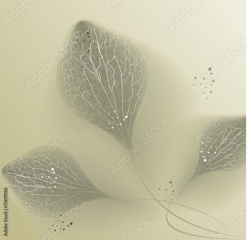 Fototapeta do kuchni vector flower background