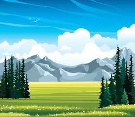 Poster - Summer landscape with fir, meadow and mountains.