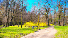 Park In Spring Time - Panoramic View