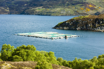 salmon farm, Loch a Chairn Bhain, Highlands, Scotland