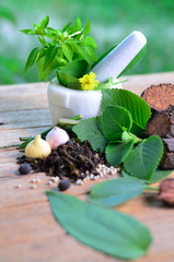 Tropical herb as still life concept