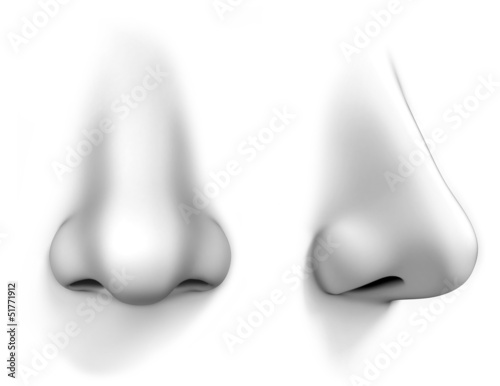 Stampa su Tela  human nose isolates on white background