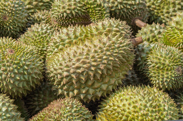  Durian.
