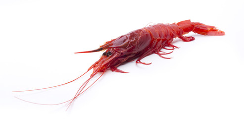 red shrimp