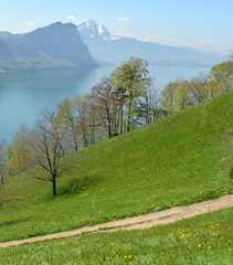 Wall Mural - lac des quatres.cantons