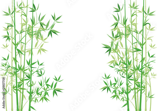 Naklejka dekoracyjna Bambus Zweige