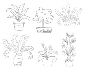 Poster - Six different kinds of plants