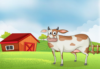 Wall Mural - A cow in the farm with a wooden house at the back