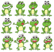 Different faces of a frog