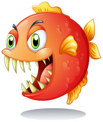 Wall Mural - An orange piranha