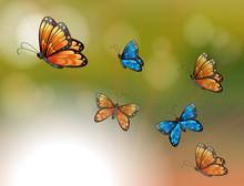 A Special Paper With Orange And Blue Butterflies
